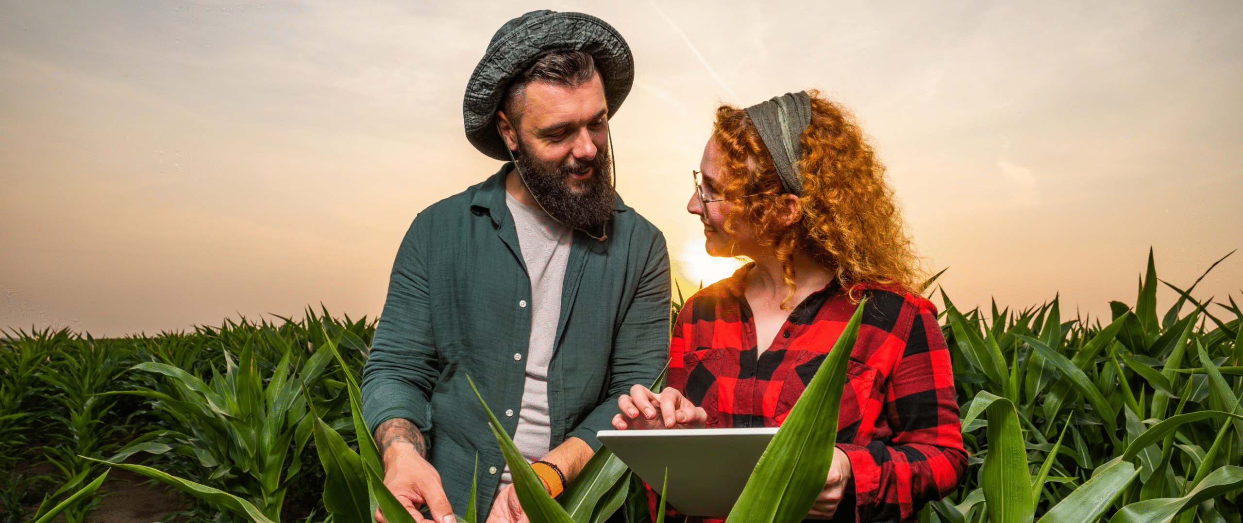 agricultores usando sistema sob medida para o agronegócio
